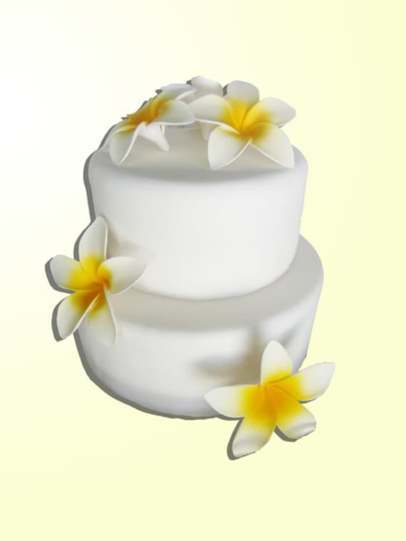 Items similar to edible plumeria flowers large white and yellow set of