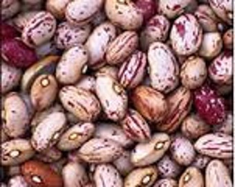 VBD)~LINA SISCO'S Bird Egg Dry Bean~Seed!!~~~ ~Pretty & Delicious!!