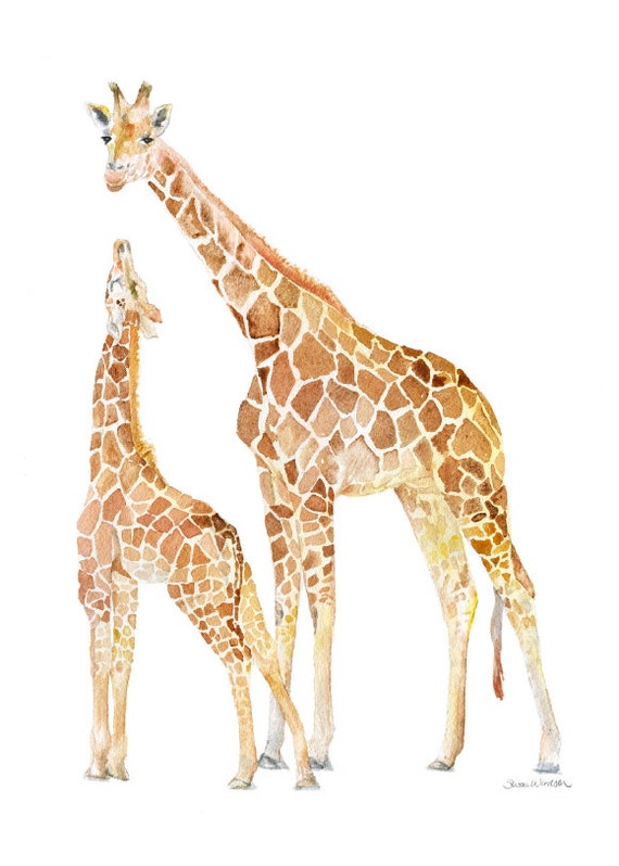 Giraffes Watercolor Painting 5 x 7 Giclee Print