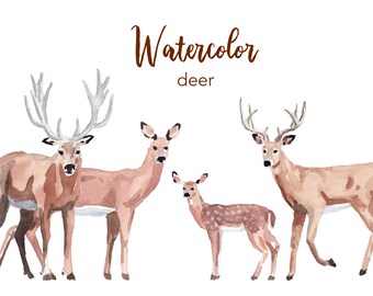 WATERCOLOR CLIPART, deer clipart, watercolour clipart set, commercial use, png files, baby deer clip art, woodland, png, digital, nursery