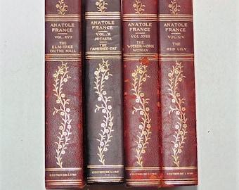 1800's Handsome Antique Red Leather Books