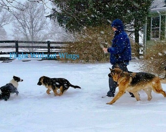 Winter fun