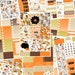 FOIL PSL Planner Sticker Kit, For use with Erin Condren Life Planner and Happy Planner