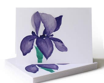Spring Iris Just Because Greeting Card