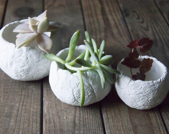 Flower plant pot Kitchen planter, Succulent planter,Ceramics & pottery, Planter flower pot, , Flower plant pot White pots Clay pots