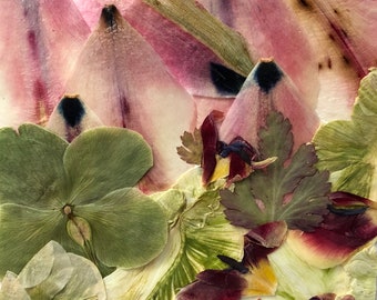 Flower 14.18 Giclee Print 12” x 18”