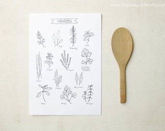 Herbs Kitchen Art - 8x11 Ink Illustration / Culinary Art Print - Kitchen Decor