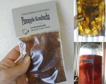 Hermit Crab Food Fermented Treat Pineapple Kombucha Fruit Leather