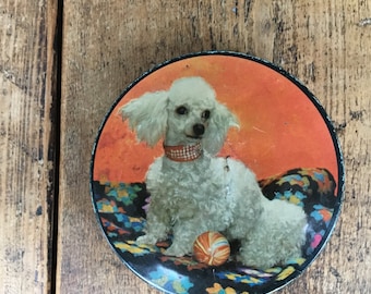 Vintage 1970s White Poodle Tin