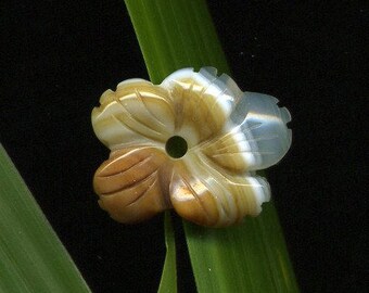 1 agate (257), Pearl, dyed, 23 x 18 x 5 mm