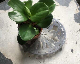 Vintage dish below.