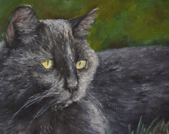 Custom Pet Portrait Oil