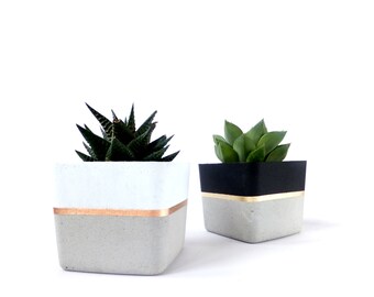 Square Concrete Planter for Succulent Grey White Black Industrial Home Decor