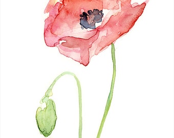 Red Poppy Flower Art Print of Watercolor Painting, Plants, Nature, Poppies
