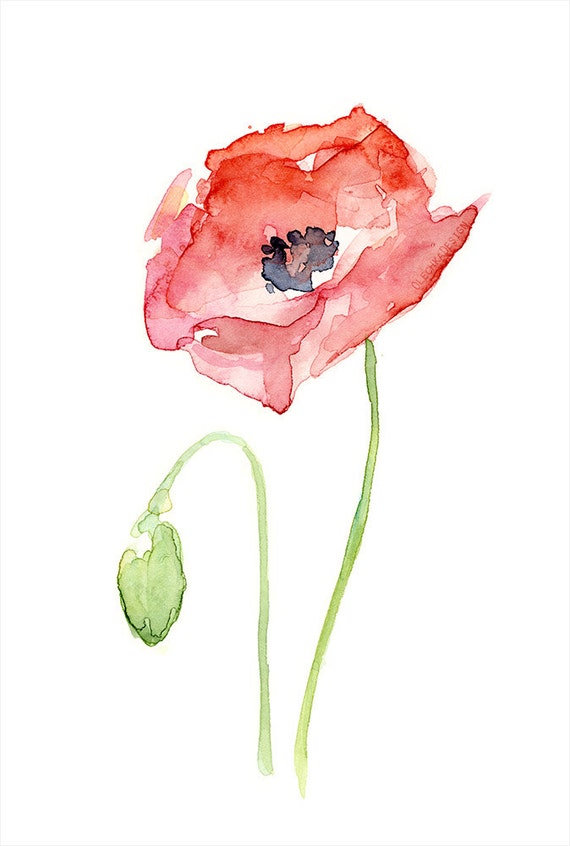 Red Poppy Flower Art Print of Watercolor Painting Plants