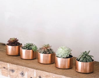 Copper Pots for Plants / Ring Pot / Trinket Pot with Succulent