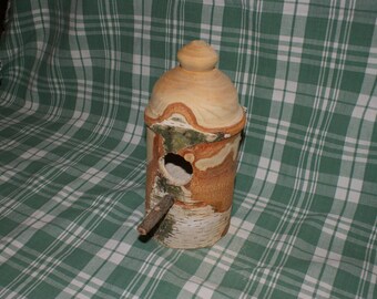 Silver Birch Birdhouse