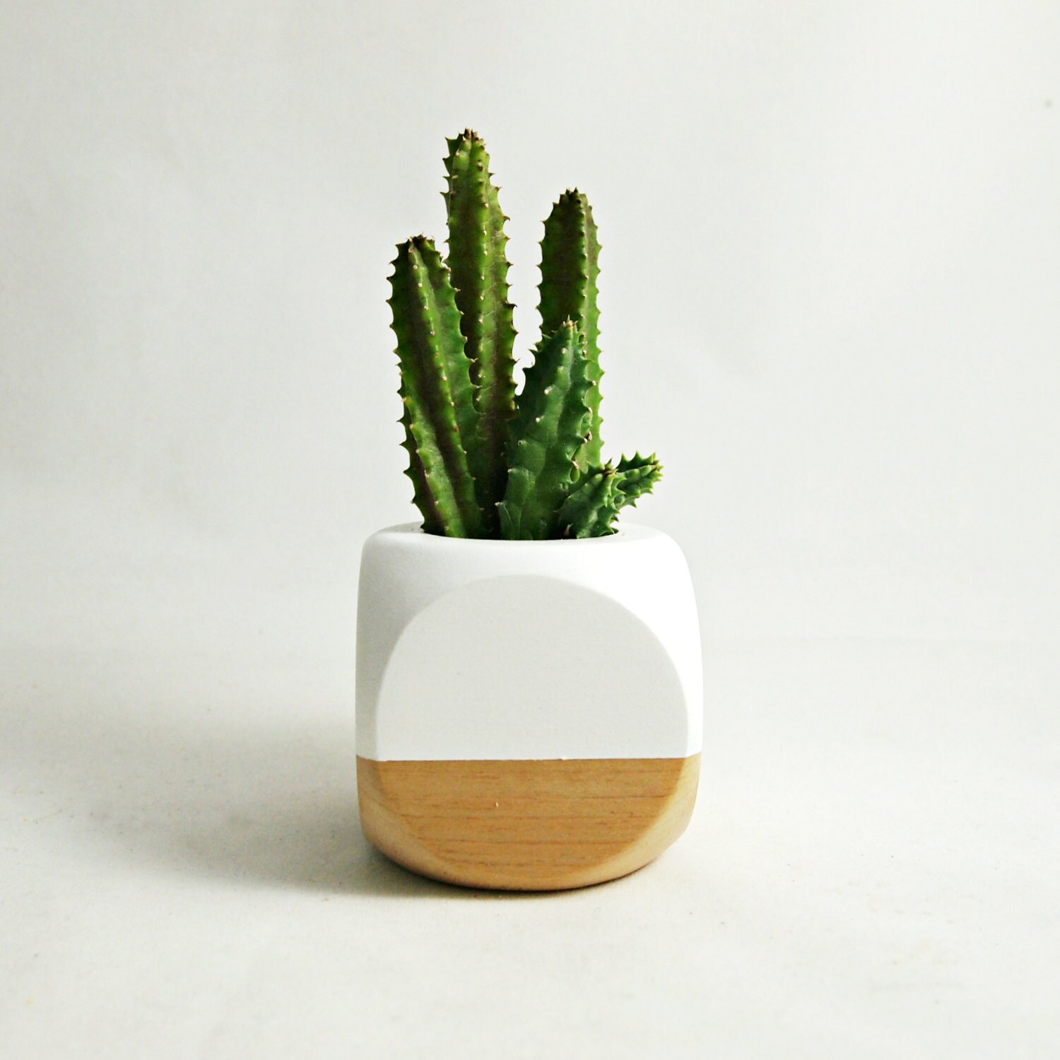 Mini Geometric Planter // White Wood Plant Not Included