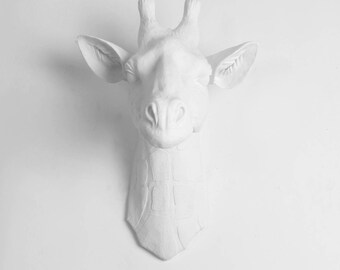 White Giraffe Head Wall Mount: The Geronimo by White Faux Taxidermy - Large White Resin Giraffe Head - Resin Safari Animal Head Decor