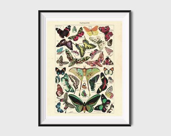 Antique Butterfly Print Poster, Antique Butterfly Art Print, Vintage Butterfly Print Wall Art, Printable Butterflies Wall Art, Printable Art