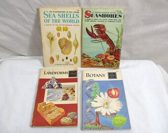 Golden Nature Guide & Golden Science Guide 1960's 4 Book Lot: Sea Shells, Seashores, Landforms, Botany Collection of Illustrated Books
