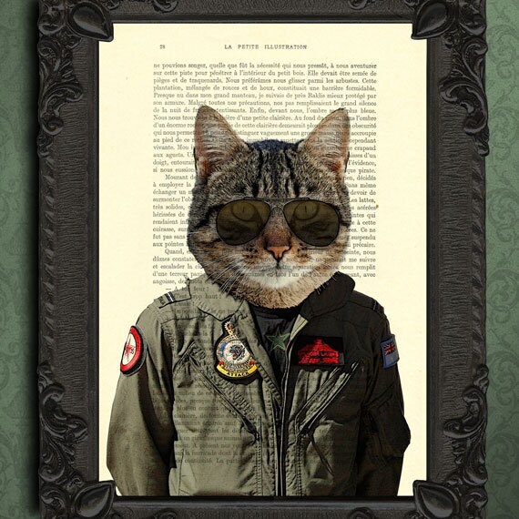 Fighter jet pilot cat  wall art animal air  force  gifts army
