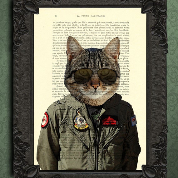 Fighter jet pilot cat  wall art animal air force gifts army 