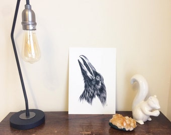 A4 Crow Giclée Art Print