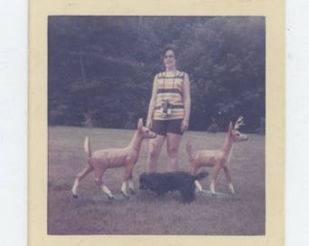 Vintage Snapshot Photo: Lawn Ornaments, c1960s-70s (81633)