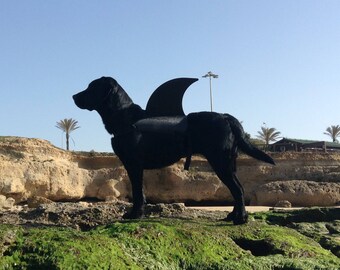 LARGE. Dog shark fin. Your shark dog will be a hit at the beach or park. They're Lab tested!