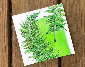 Ferns - Original Ink Creation