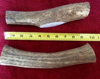 1 Whole Elk antler dog chew.