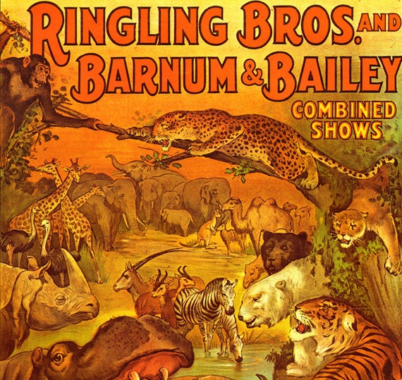 Circus Poster Wild Animal Menagerie Ringling Bros Barnum