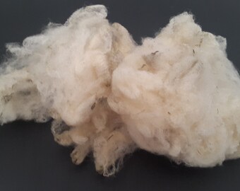 BOWMONT SHEEP FLEECE ewe rare british unwashed