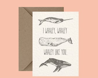 I Whaley Like You - Animal Pun Greeting Card - Love and Friendship