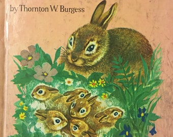 Little Peter Cottontail Vintage Children's Book by Thornton W. Burgess