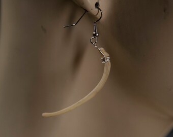 Mink Penis Bone Earrings