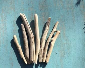 Rustic driftwood sampler collection of 7 Sticks for Boho Crafts and Beach Decoration RD7
