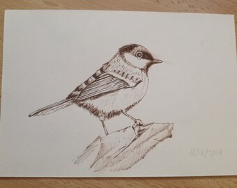 Chickadee recovering, Walnut stain