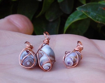 Petite Copper Sea Shell Choker