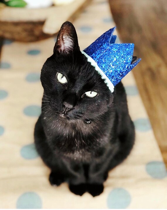 Cat Hat || Cat Costume || Pet Party Hat || Cat Kitty Puppy Pig Birthday Crown Hat || Dog Gift || Pet Clothing || Dog Tag