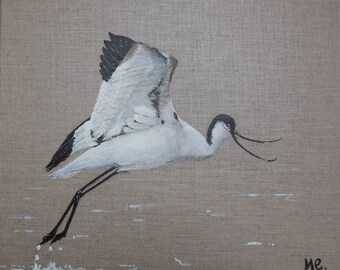 Avocet bird painting