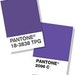 May 2018 pre - order Button Fanatics Club with Vanessa's Clay Adventures -