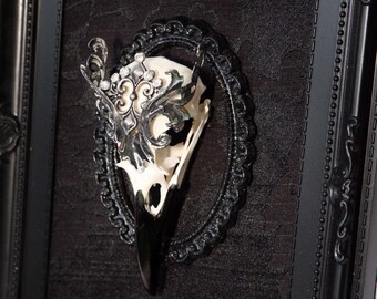Macabre Gothic Victorian style ornate jewellery real crow skull frame display picture taxidermy