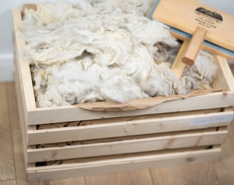Raw Fleece Corriedale, Raw Fiber, Eco Natural Wool, WholeSale 2 lbs 7 oz, Felting