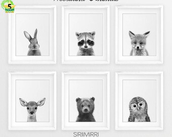 Woodland Nursery Decor, Black White Baby Animals Set 6, Bunny Print, Fox Bear Deer, Baby Animal Prints, Woodland Animals, Printable Wall Art