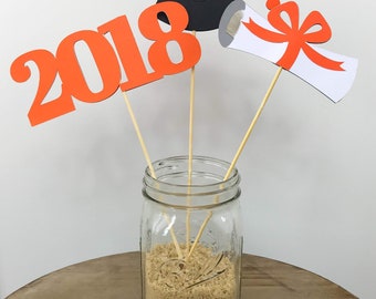 Graduation Party Decorations - Double Sided / Graduation Party Centerpiece / Graduation Party Centerpiece Sticks / Centerpiece Picks