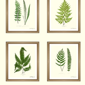 Botanical print | Etsy