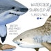Watercolor Sharks, Great White Clipart, Whale Shark Clipart, Mako Shark Clipart, Nauticals, Whale Clipart, Summer Clipart, Beach Clipart