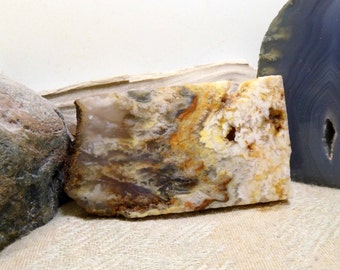 Slab Cab Lapidary Slabs Graveyard Point Plume Agate #03